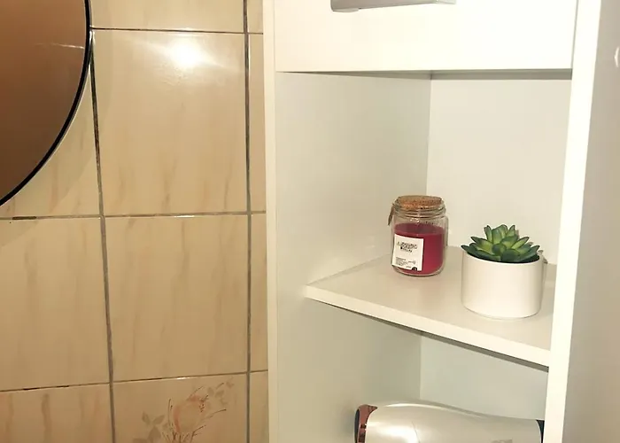 T2 Proche Centre 님